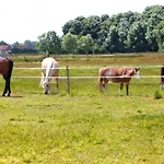de Schelphoeve
